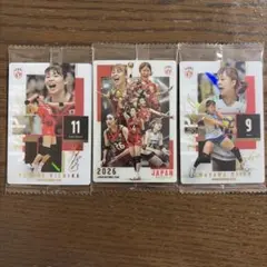 バレーボール日本代表 トレーディングカード 3枚 岩澤実育 山田二千華 集合A