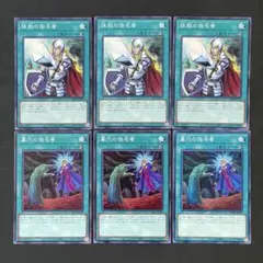 ぎるてぃめりい様 リクエスト 2点 まとめ商品