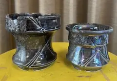 2026年最新】WILD HEAVEN 鉢の人気アイテム - メルカリ