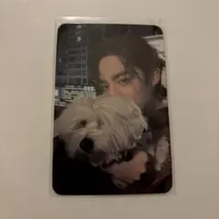 SEVENTEEN セブチ エスクプス FML 特典 トレカ