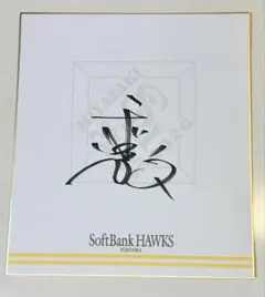 オリックス ドラフト2位 森 陽樹 直筆サイン色紙 大阪桐蔭 ver 甲子園
