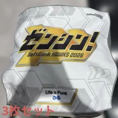 福岡ソフトバンクホークス ラリータオル 3枚セット