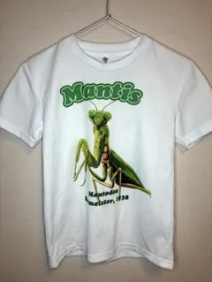 Mantis プリント Tシャツ ホワイト