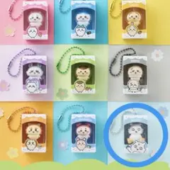 ちいかわ キーホルダー あのこ