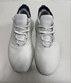 2026年最新】eccoゴルフシューズ40の人気アイテム - メルカリ