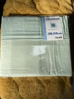 Item thumbnail for item 418b544f-162f-47f2-a511-92c448b3192f