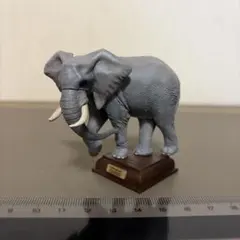 ネイチャーテクニカラーサバンナ　アフリカゾウのサムネイル