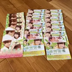 LDH 関連映画チラシ