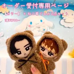 なお ねこ着ぐるみセット すの チル ぬい なお様専用 ねこ着ぐるみセット すの チル ぬい - メルカリ