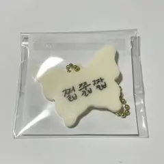 NCT DREAM マーク ドリショ ラントイ アクリルチャーム