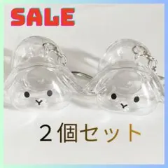 Item thumbnail for item eaf3e9f2-d6db-4442-8623-443a7a898d61