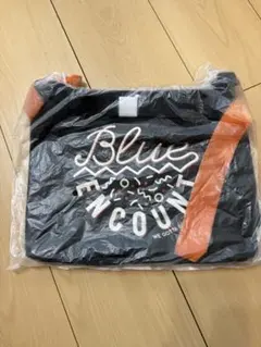 【新品未開封】BLUE ENCOUNT ブルエン サコッシュ
