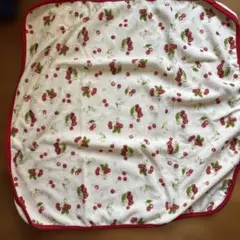 Item thumbnail for item 40043651-6bea-4725-ae5a-64e36bc452fc