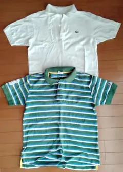 ラコステ　Champion ポロシャツ 2枚セット Mサイズ