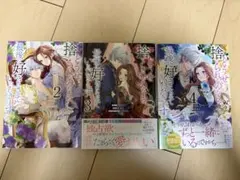 どうせ捨てられるのなら、最後に好きにさせていただきます 2.3.4巻 セット