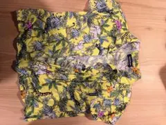 Item thumbnail for item 003dc565-5442-4841-87f2-817ac13a4f49