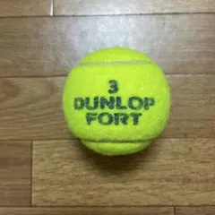 ダンロップテニスボール　1個 送料無料　3番
