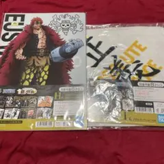 ONE PIECE 一番くじ クリアファイル・タオルコレクション