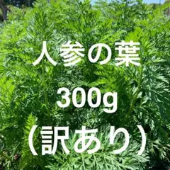 Item thumbnail for item f0831f2a-7298-4244-a5a8-b88771c244ca