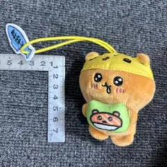 チェゴシム くまゴシム スシロー ぬいぐるみ マスコット キーホルダー