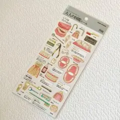 新品・正規品 大人の図鑑 シール 歯 編 カミオジャパン
