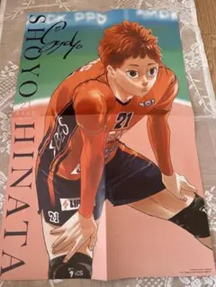 ハイキュー!! 両面ポスター ステッカー二枚組