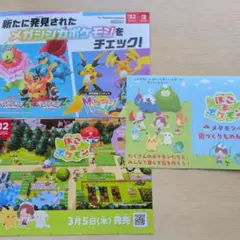 ぽこあポケモン　メガシンカポケモン チラシ　Nintendo Swich