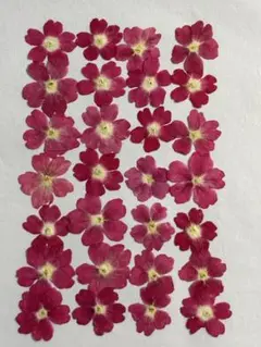 Item thumbnail for item 112541ea-4c11-4097-b4ee-c9565dbc29de