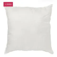 IKEA INNER インネル ヌードクッション ホワイト 50x50cm 1個