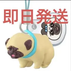 おぱんちゅうさぎ と わんころ マスコット ビスケット パグ ②