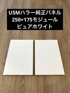 USM ハラー用オリジナルガラス天板 設置パーツ付 - メルカリ