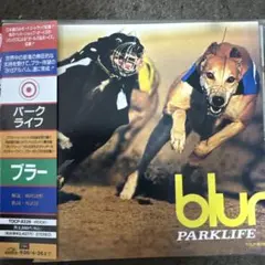 【3枚1100円】BLUR - パーク・ライフ