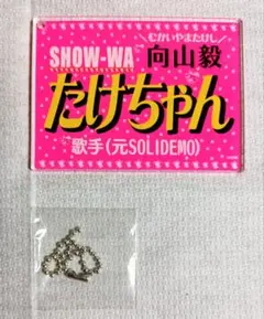 2026年最新】向山毅 show-waの人気アイテム - メルカリ
