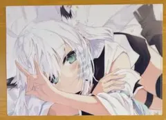 白上フブキ B2タペストリー 凪白みと/white parabellum - メルカリ