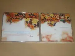 【洋楽CD帯】Ebba Forsberg　Been There