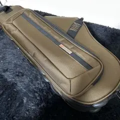 Item thumbnail for item 7f1dd495-fac7-4914-9f91-8737b0a4af2a