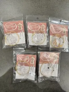 わんこのタイムカプセル　セット売り