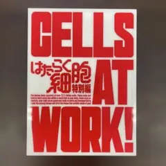 はたらく細胞 特別編 完全生産限定版CELLS AT WORK! DVD