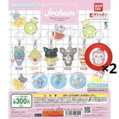 2026年最新】ジェオチャム ぽぽの人気アイテム - メルカリ