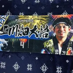 Item thumbnail for item 3bfaa005-1c50-4494-bc92-03b9520840c2