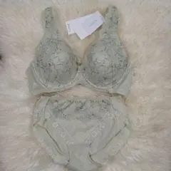 トリンプ　恋するブラ　TR612 009 E75　Lセット　定価10120円