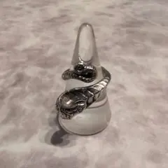 蛇デザイン (ステンレス製) シルバー調 リング