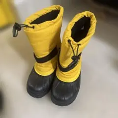 Item thumbnail for item 07c459dc-bdf9-4101-8c09-7f2218deb8e5