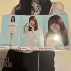 Item thumbnail for item 6a08f638-5f4a-4647-89dd-90ce95257f70