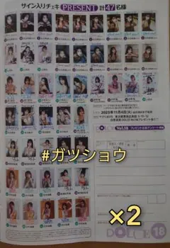 DOLCE Vol.18 プレゼント応募アンケート用紙 2枚