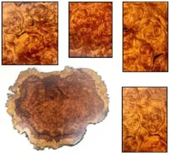 Item thumbnail for item cb712bfc-5c73-4f23-9002-35dd467c43d6