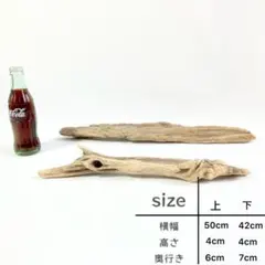 kat057 流木 塊流木 レイアウト エアプランツ 台座 爬虫類 DIY 素材のサムネイル