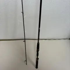 ダイワ　morethan BRANZINO AGS 97LMLのサムネイル