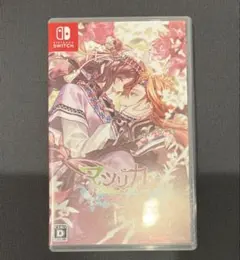 新品・未開封品】マツリカの炯-kEi- 天命華燭伝 Switch FD 特装版
