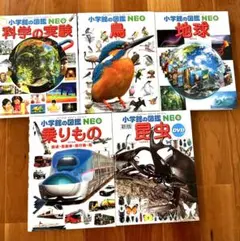 【小学館の図鑑　NEO】　5冊セット